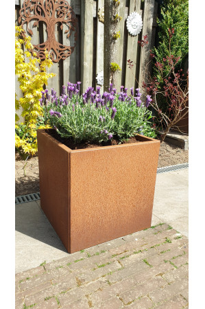 Plantenbak Foras  CorTenstaal (Roest)  1000x750x500 mm