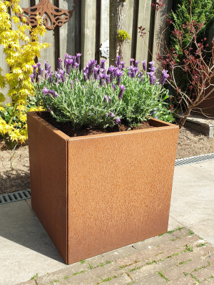 Plantenbak Foras  CorTenstaal (Roest) 1000x1000x750 mm