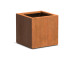 Plantenbak Foras  CorTenstaal  (Roest) 500x500x500 mm 
