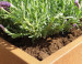 Plantenbak Foras CorTenstaal (Roest)  750x500x500 mm
