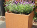 Plantenbak Foras  CorTenstaal (Roest)  1000x750x500 mm