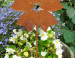 Tuinstekers  Flora CorTenstaal (Roest) set van 3  CD-073