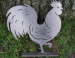 Haan Arie Cortenstaal  (Roest)  CD-049