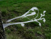 Staartmees Kees op Tak Cortenstaal ( Roest)  CD-040